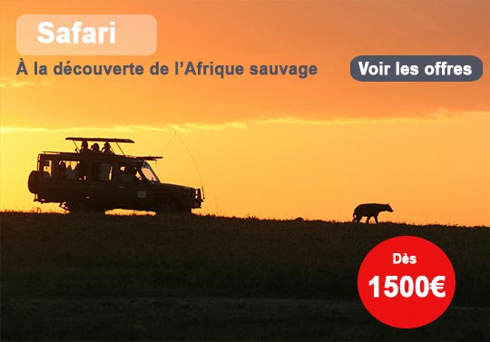 Safari pas cher en Afrique