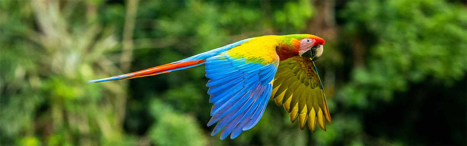 Voyages et séjours au Costa Rica | Offres pas chères et bons plans