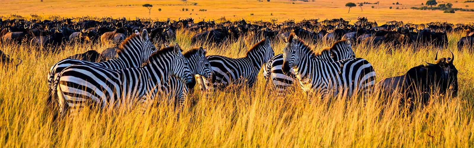 Voyages et séjours au Kenya | Offres pas chères et bons plans