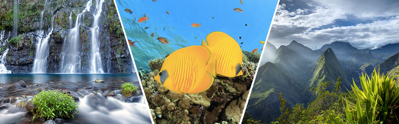 Nos bons plans Combinés de plusieurs îles